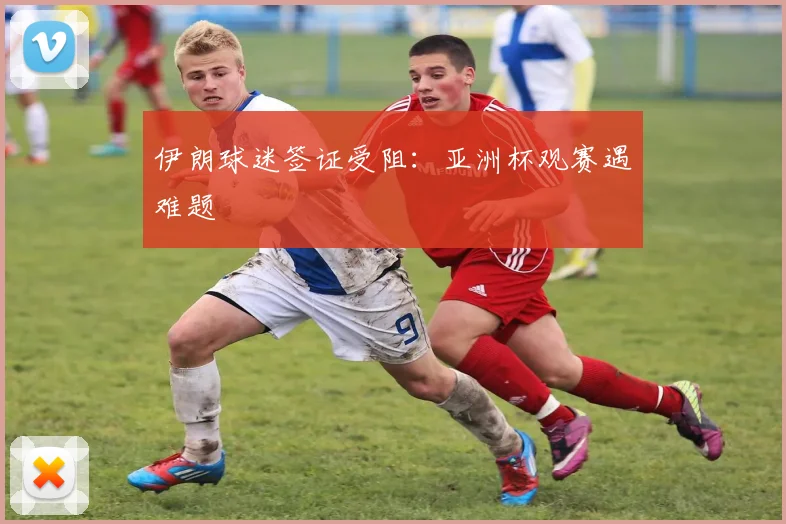 伊朗球迷签证受阻:亚洲杯观赛遇难题